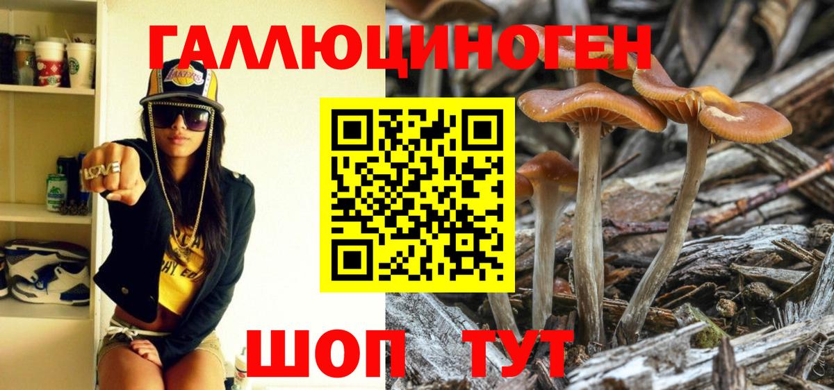 Скопин  Псилоцибиновые грибы GOLDEN TEACHER  Вход с VPN 